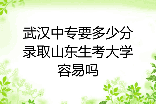 武汉中专要多少分录取山东生考大学容易吗