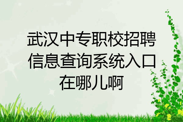 武汉中专职校招聘信息查询系统入口在哪儿啊
