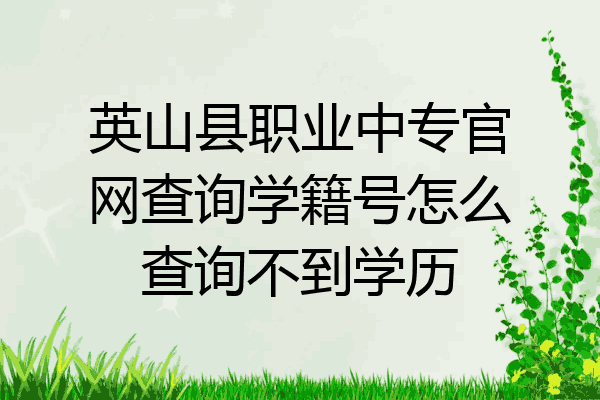 英山县职业中专官网查询学籍号怎么查询不到学历