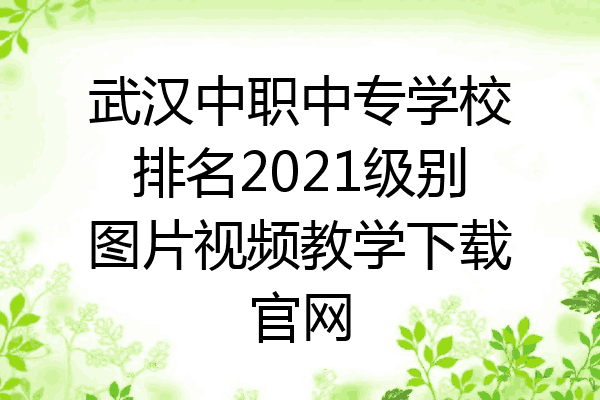 武汉中职中专学校排名2021级别图片视频教学下载官网