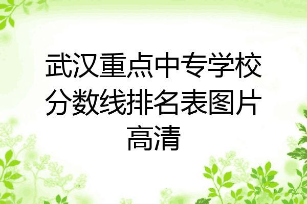 武汉重点中专学校分数线排名表图片高清