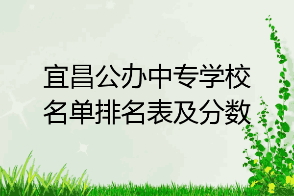 宜昌公办中专学校名单排名表及分数