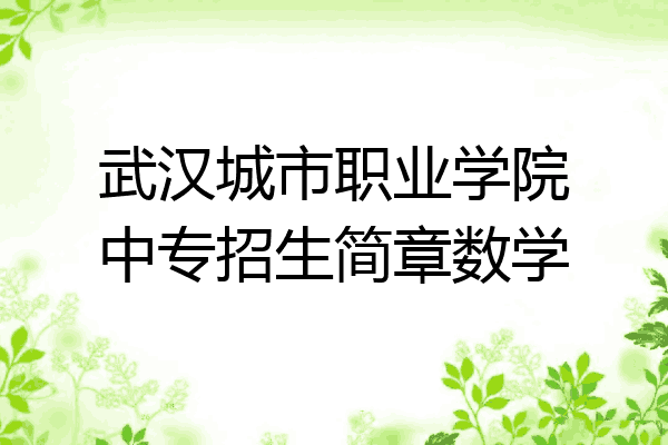 武汉城市职业学院中专招生简章数学