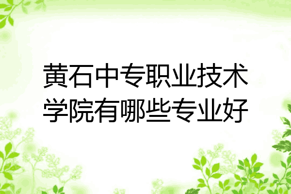 黄石中专职业技术学院有哪些专业好