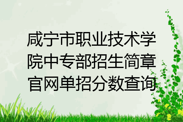 咸宁市职业技术学院中专部招生简章官网单招分数查询