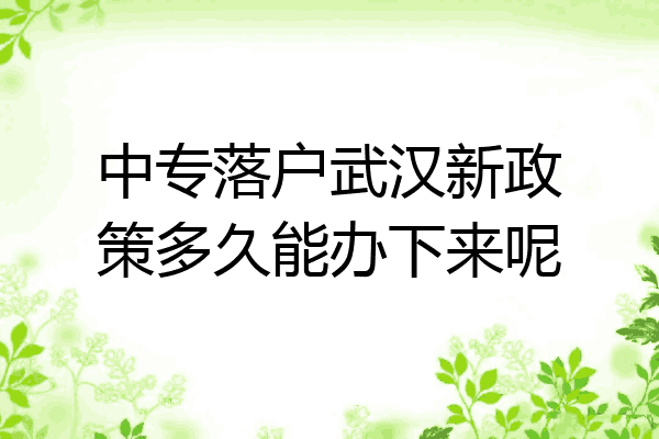 中专落户武汉新政策多久能办下来呢