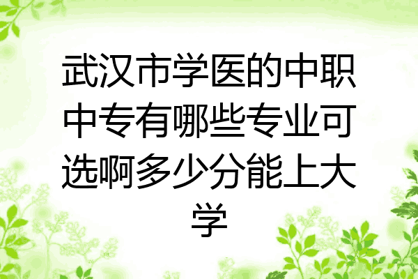 武汉市学医的中职中专有哪些专业可选啊多少分能上大学