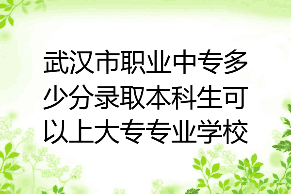 武汉市职业中专多少分录取本科生可以上大专专业学校