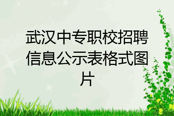 武汉中专职校招聘信息公示表格式图片