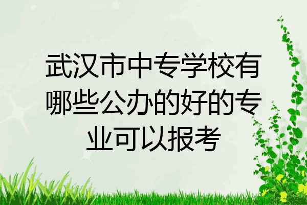 武汉市中专学校有哪些公办的好的专业可以报考