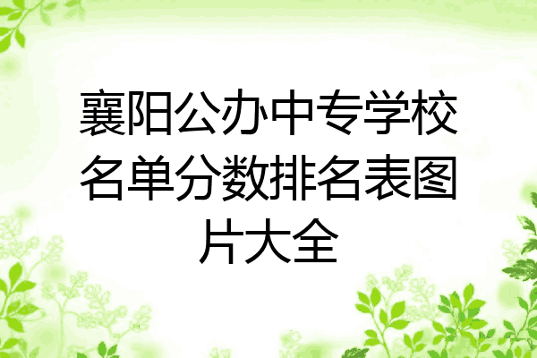 襄阳公办中专学校名单分数排名表图片大全