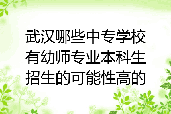 武汉哪些中专学校有幼师专业本科生招生的可能性高的