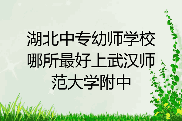 湖北中专幼师学校哪所最好上武汉师范大学附中