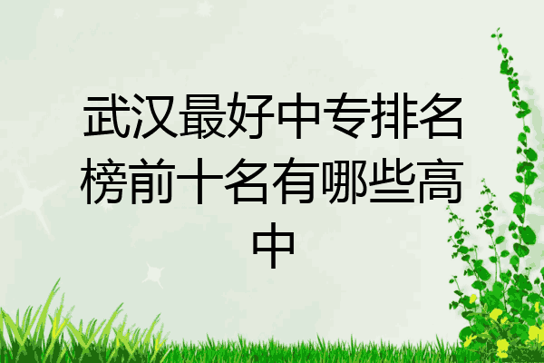武汉最好中专排名榜前十名有哪些高中
