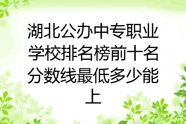 湖北公办中专职业学校排名榜前十名分数线最低多少能上