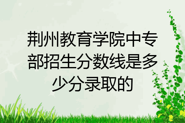 荆州教育学院中专部招生分数线是多少分录取的
