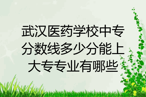 武汉医药学校中专分数线多少分能上大专专业有哪些