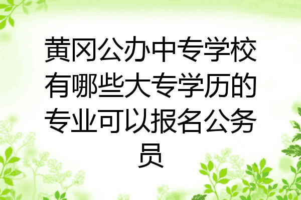黄冈公办中专学校有哪些大专学历的专业可以报名公务员