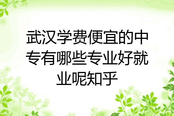 武汉学费便宜的中专有哪些专业好就业呢知乎