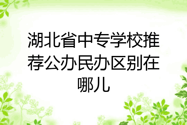湖北省中专学校推荐公办民办区别在哪儿