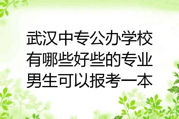 武汉中专公办学校有哪些好些的专业男生可以报考一本