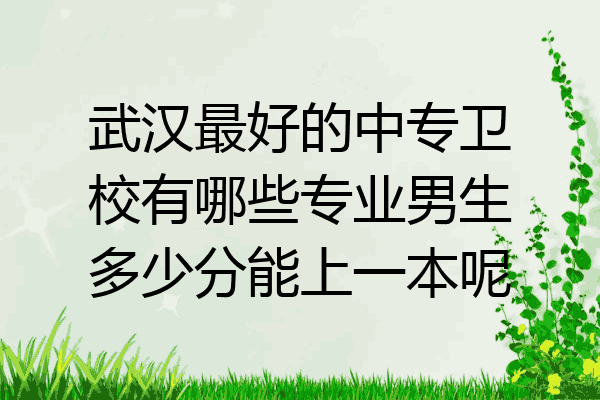 武汉最好的中专卫校有哪些专业男生多少分能上一本呢
