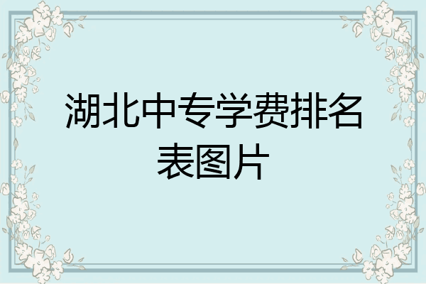 湖北中专学费排名表图片