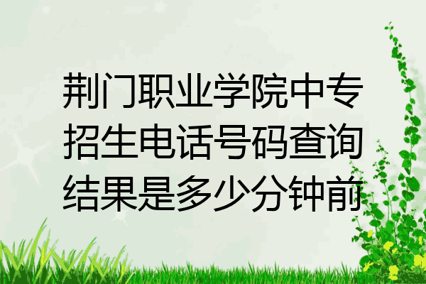 荆门职业学院中专招生电话号码查询结果是多少分钟前