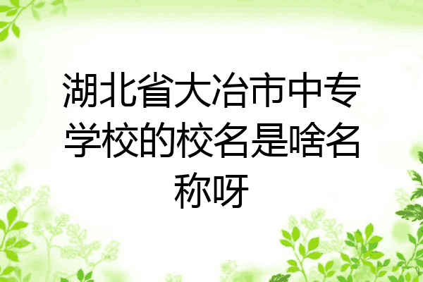 湖北省大冶市中专学校的校名是啥名称呀