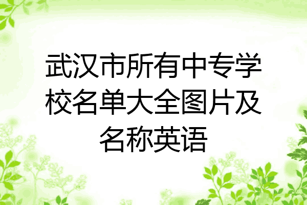 武汉市所有中专学校名单大全图片及名称英语