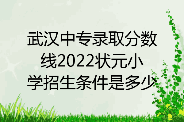 武汉中专录取分数线2022状元小学招生条件是多少