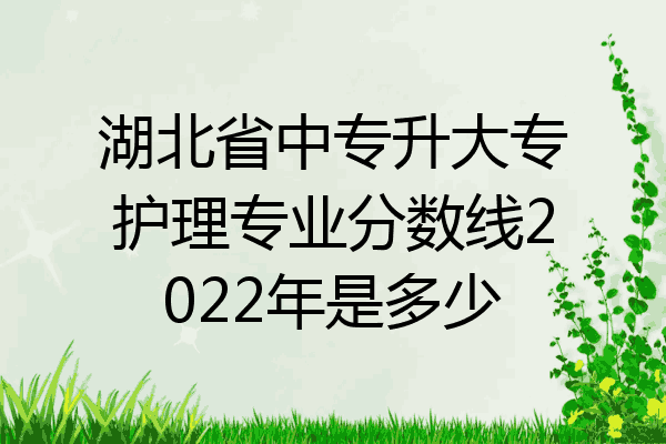 湖北省中专升大专护理专业分数线2022年是多少