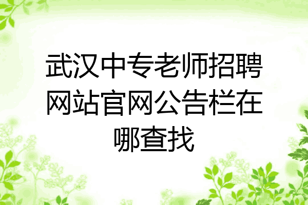 武汉中专老师招聘网站官网公告栏在哪查找