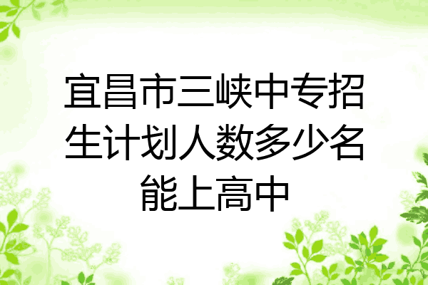 宜昌市三峡中专招生计划人数多少名能上高中