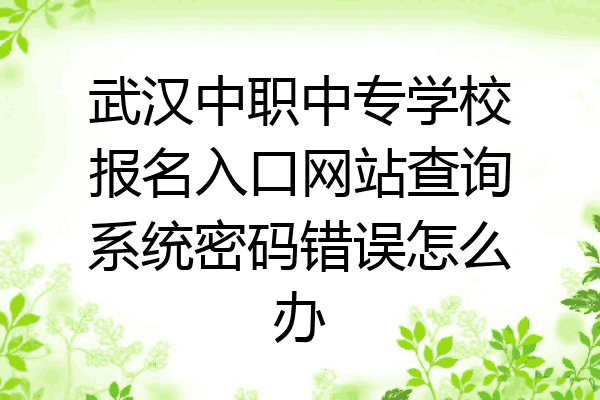武汉中职中专学校报名入口网站查询系统密码错误怎么办