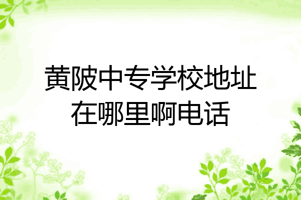 黄陂中专学校地址在哪里啊电话