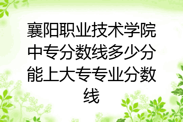 襄阳职业技术学院中专分数线多少分能上大专专业分数线