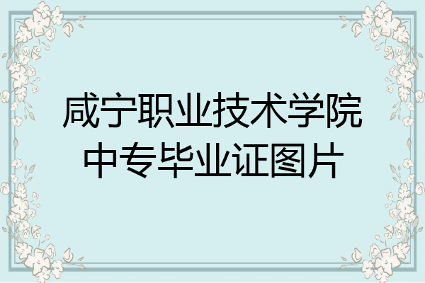 咸宁职业技术学院中专毕业证图片