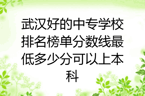 武汉好的中专学校排名榜单分数线最低多少分可以上本科