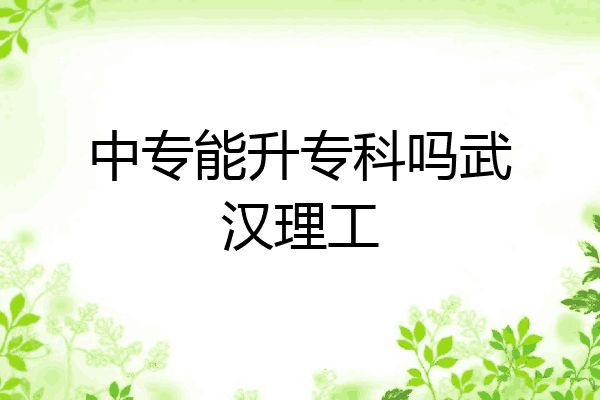 中专能升专科吗武汉理工