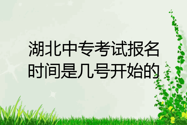 湖北中专考试报名时间是几号开始的