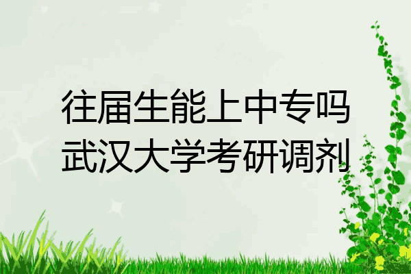 往届生能上中专吗武汉大学考研调剂