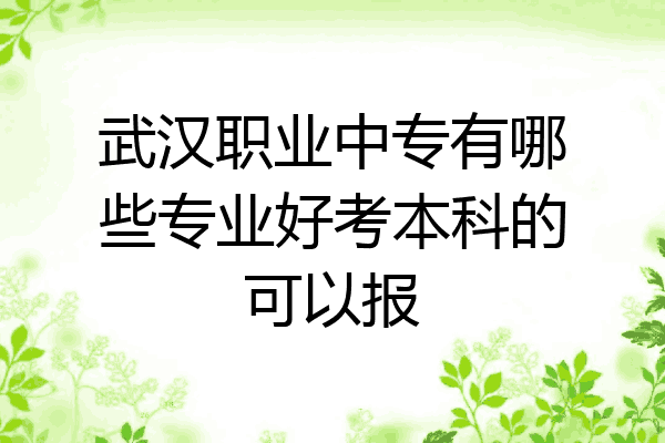 武汉职业中专有哪些专业好考本科的可以报