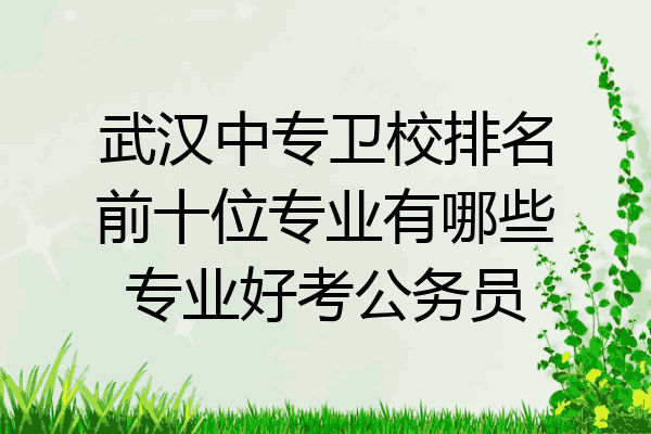 武汉中专卫校排名前十位专业有哪些专业好考公务员