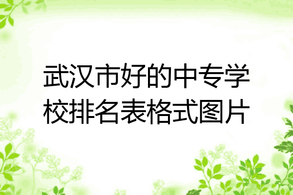 武汉市好的中专学校排名表格式图片