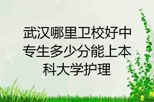 武汉哪里卫校好中专生多少分能上本科大学护理