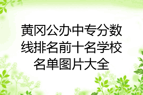 黄冈公办中专分数线排名前十名学校名单图片大全