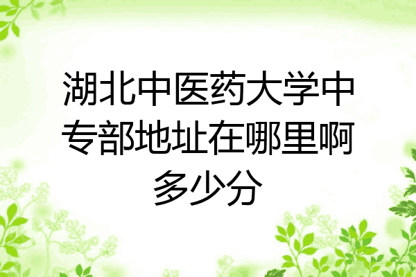 湖北中医药大学中专部地址在哪里啊多少分