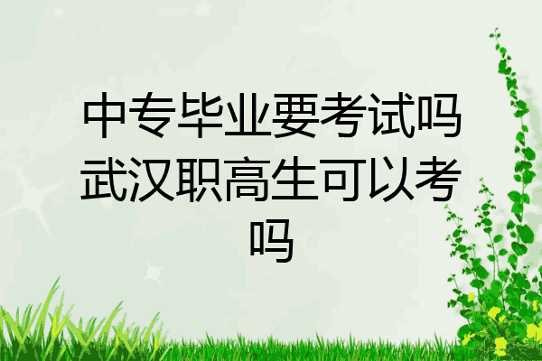 中专毕业要考试吗武汉职高生可以考吗