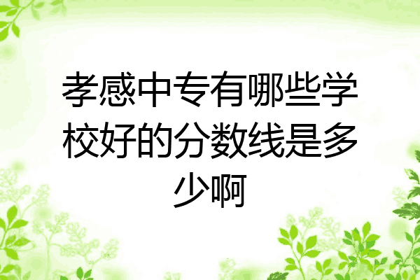 孝感中专有哪些学校好的分数线是多少啊